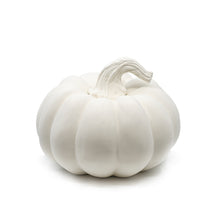 Load image into Gallery viewer, Large Squatty Pumpkin
