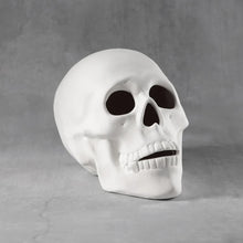 Load image into Gallery viewer, Spooky Skull
