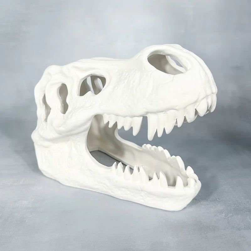 Large T-Rex Skull