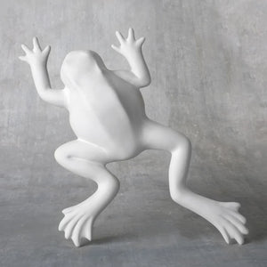 Wall Frog