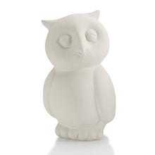 Load image into Gallery viewer, Owl Pottery Pal
