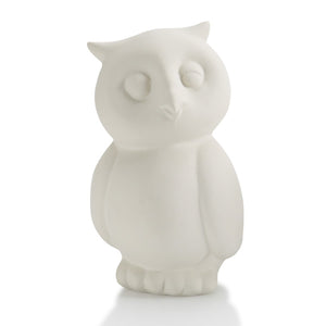 Owl Pottery Pal